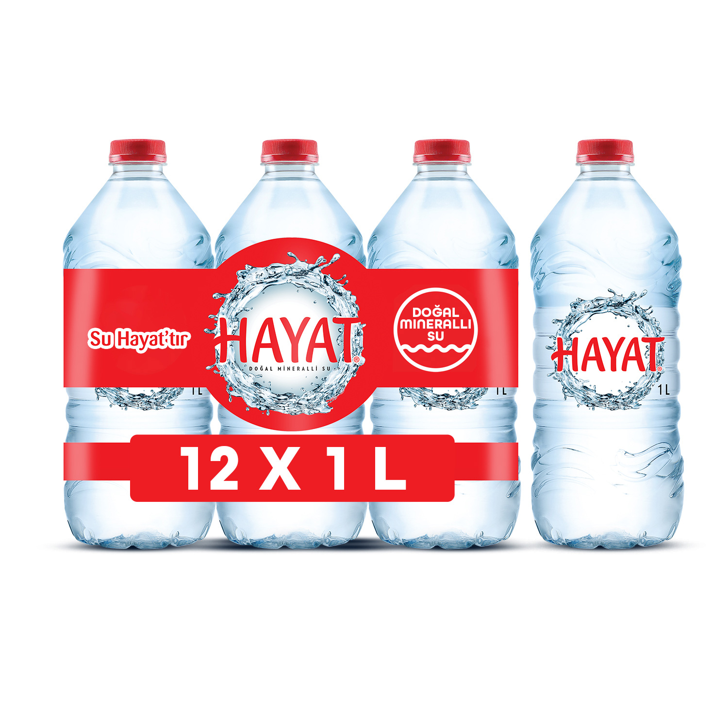 Hayat 1 L* 12